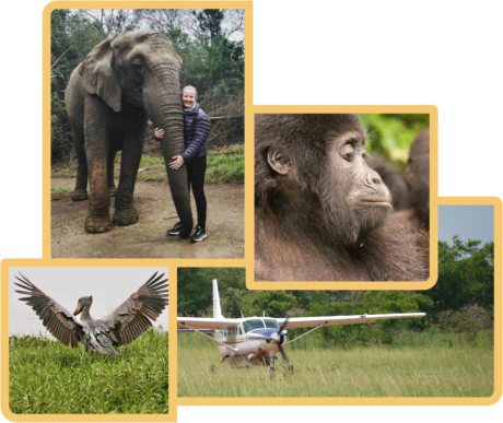 Flying Safaris in Uganda